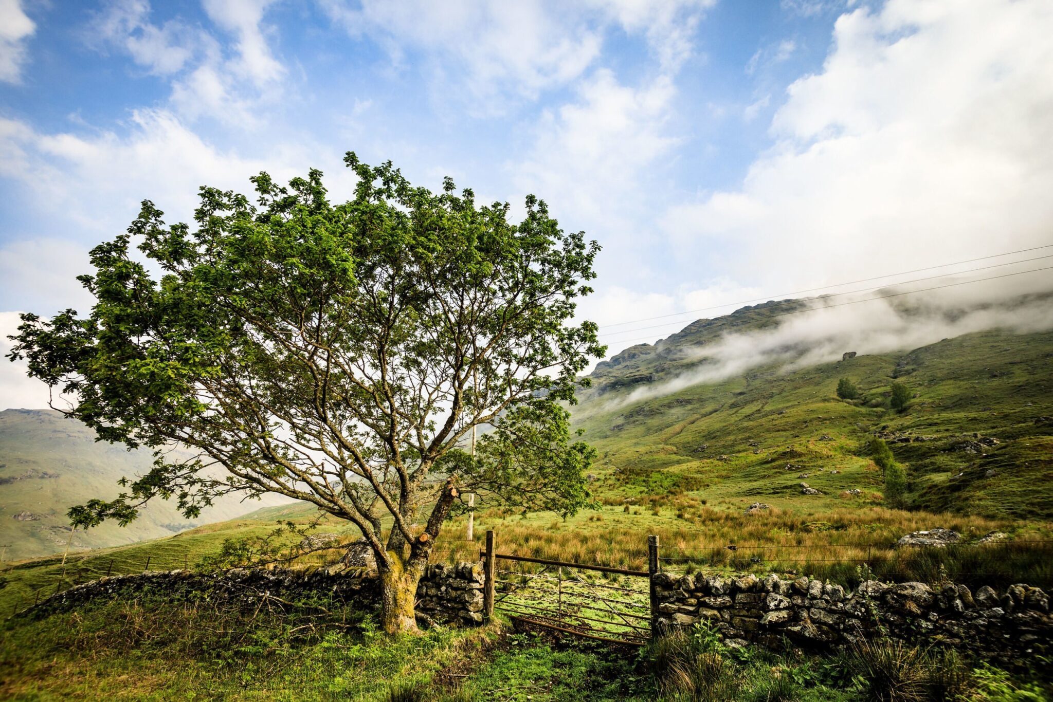 Inverlochlarig